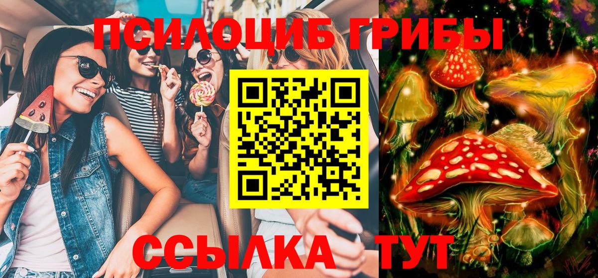 где купить наркотик  Галлюциногенные грибы мицелий  Вход с VPN  Сердобск  Псилоцибиновые грибы ЛСД 