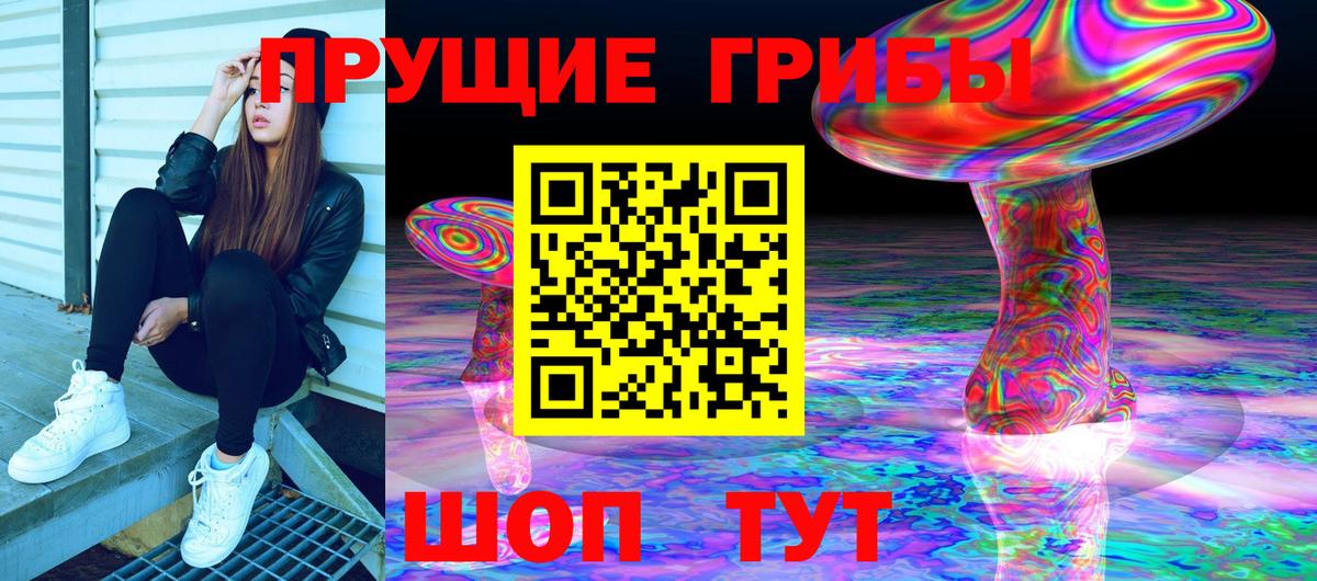 Галлюциногенные грибы Magic Shrooms Сердобск